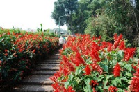 Bhubing Palace photo