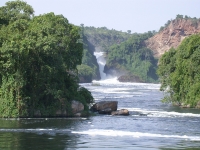 Murchison Falls National Park photo