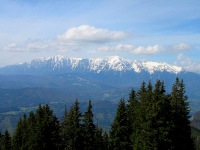 Carpathian Mountains photo