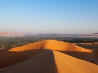 Liwa Oasis photo