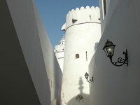Al Hosn Palace (White Fort) photo