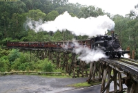 Puffing Billy Railway photo
