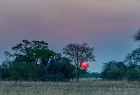 Kafue National Park photo