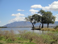 Mana Pools National Park photo