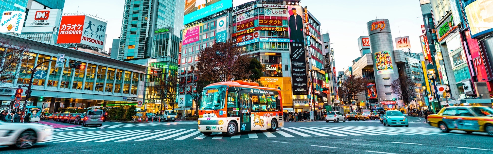 Climate & Weather Averages in Tokyo - PLAZA HOMES